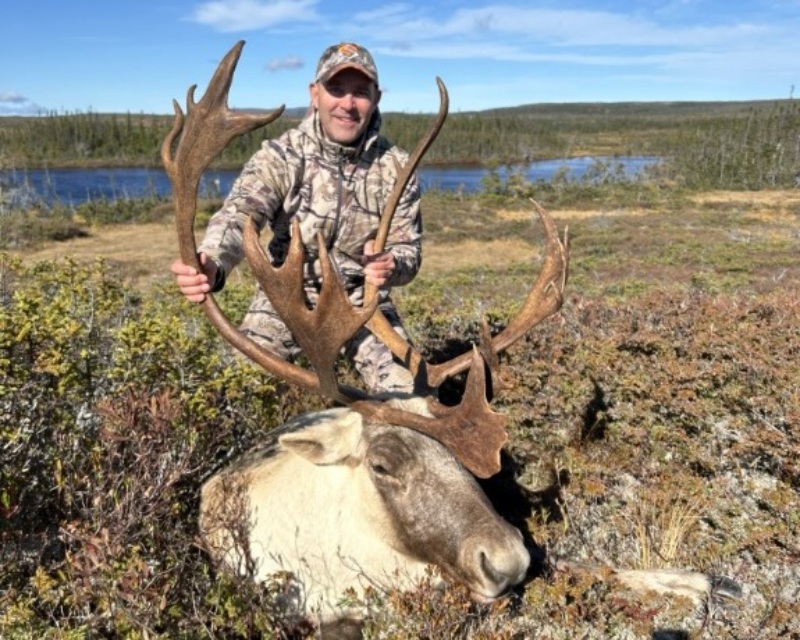Newfoundland caribou hunts with Newfound Outfitting