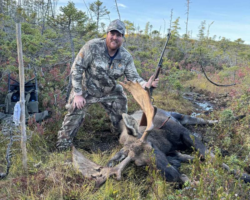 Newfoundland Moose Hunts with Newfound Outfitting